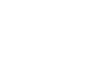 Arlington Tree Care Services