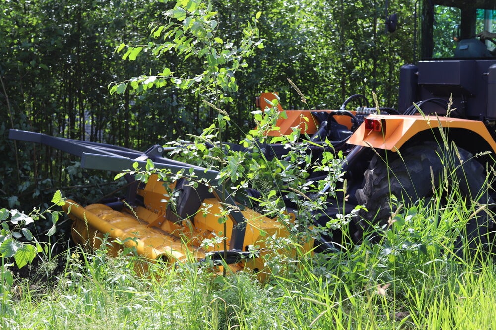 5 Benefits of Brush Mulching