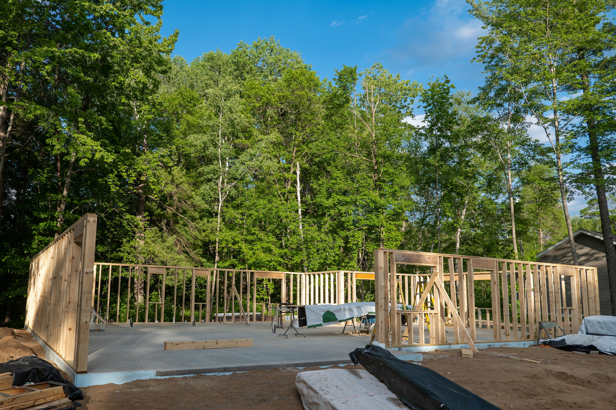 Tree Protection During And After Construction