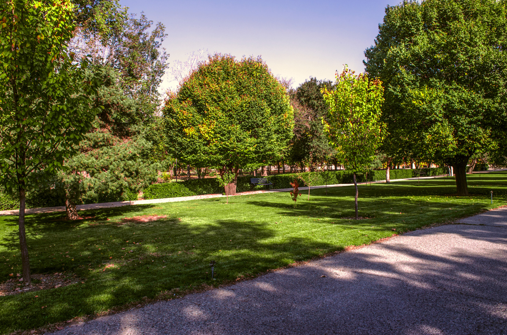 How Shade Trees Benefit Us