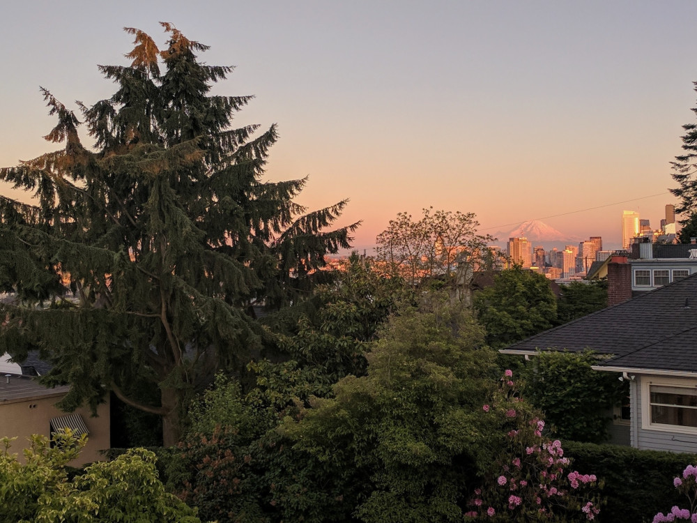 How to Have a Better Backyard View